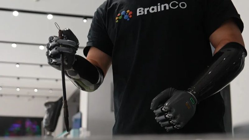 金融知识图谱问答系统：如何构建智能金融服务平台